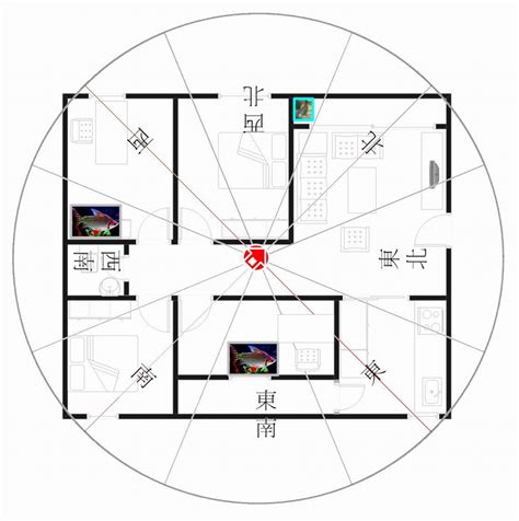 坐東南朝西北生肖|怎麼看十二生肖的房子朝向與風水